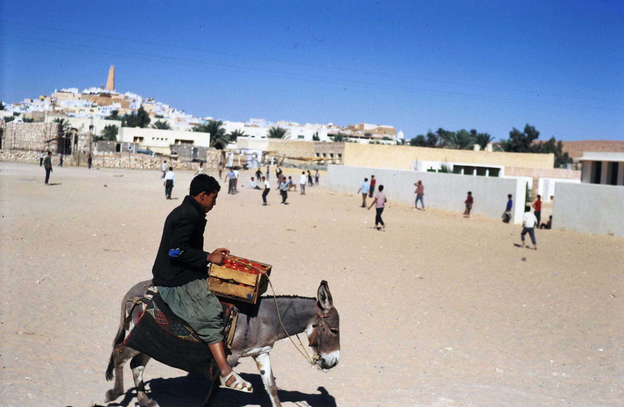 View of Ghardaïa, M'zab Valley