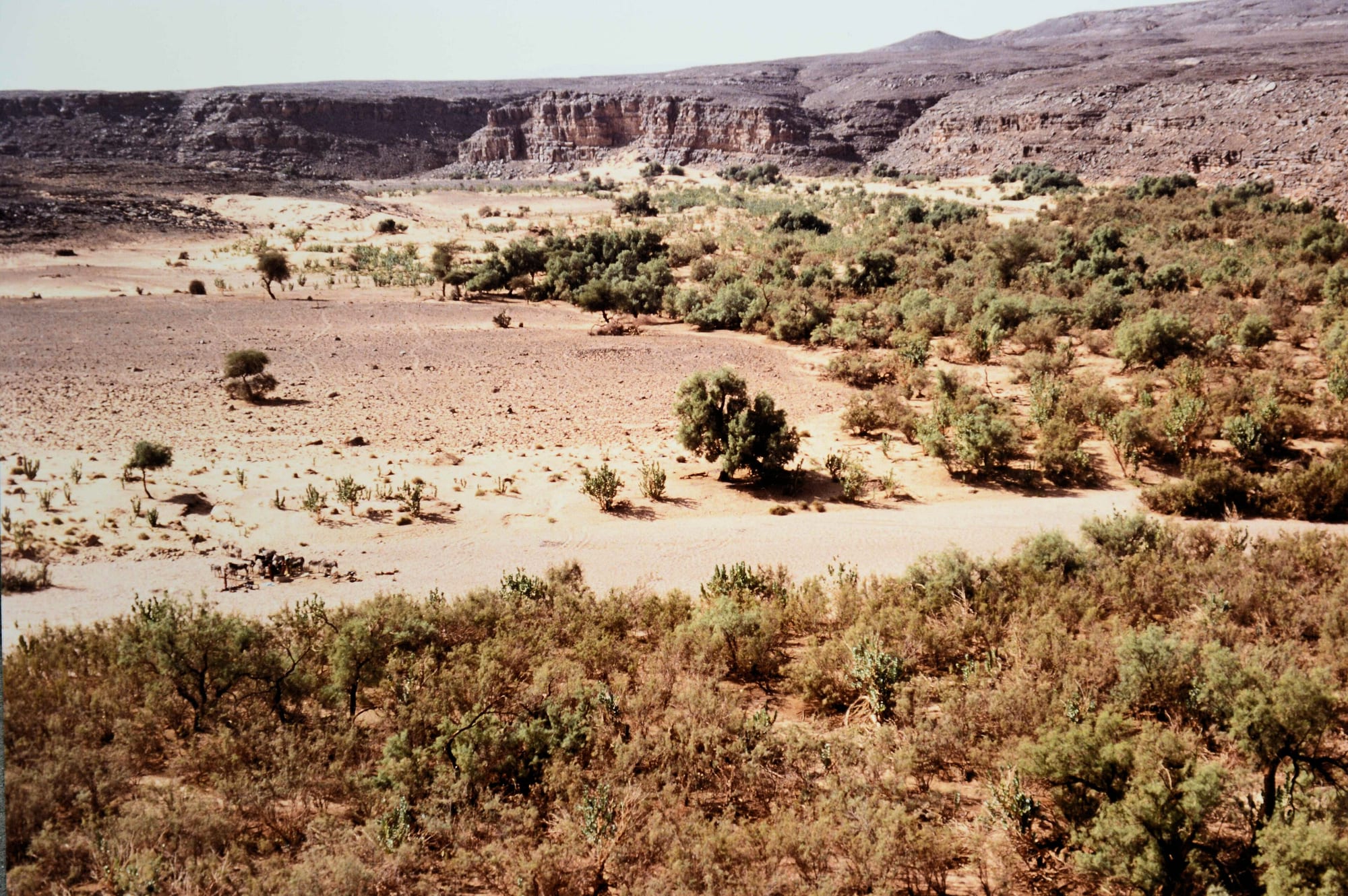 Tassili N Ajjer, Algeria