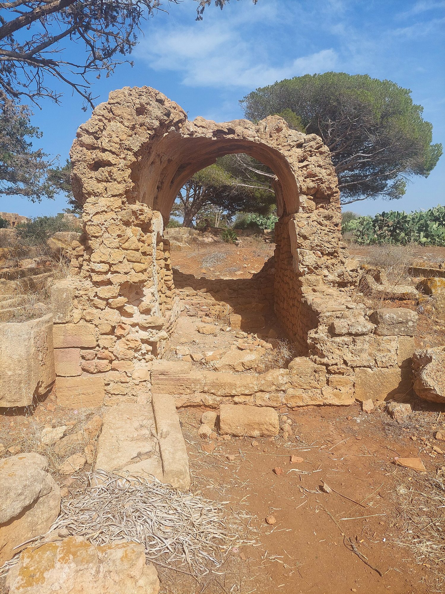 Roman ruins of Tipasa by the sea