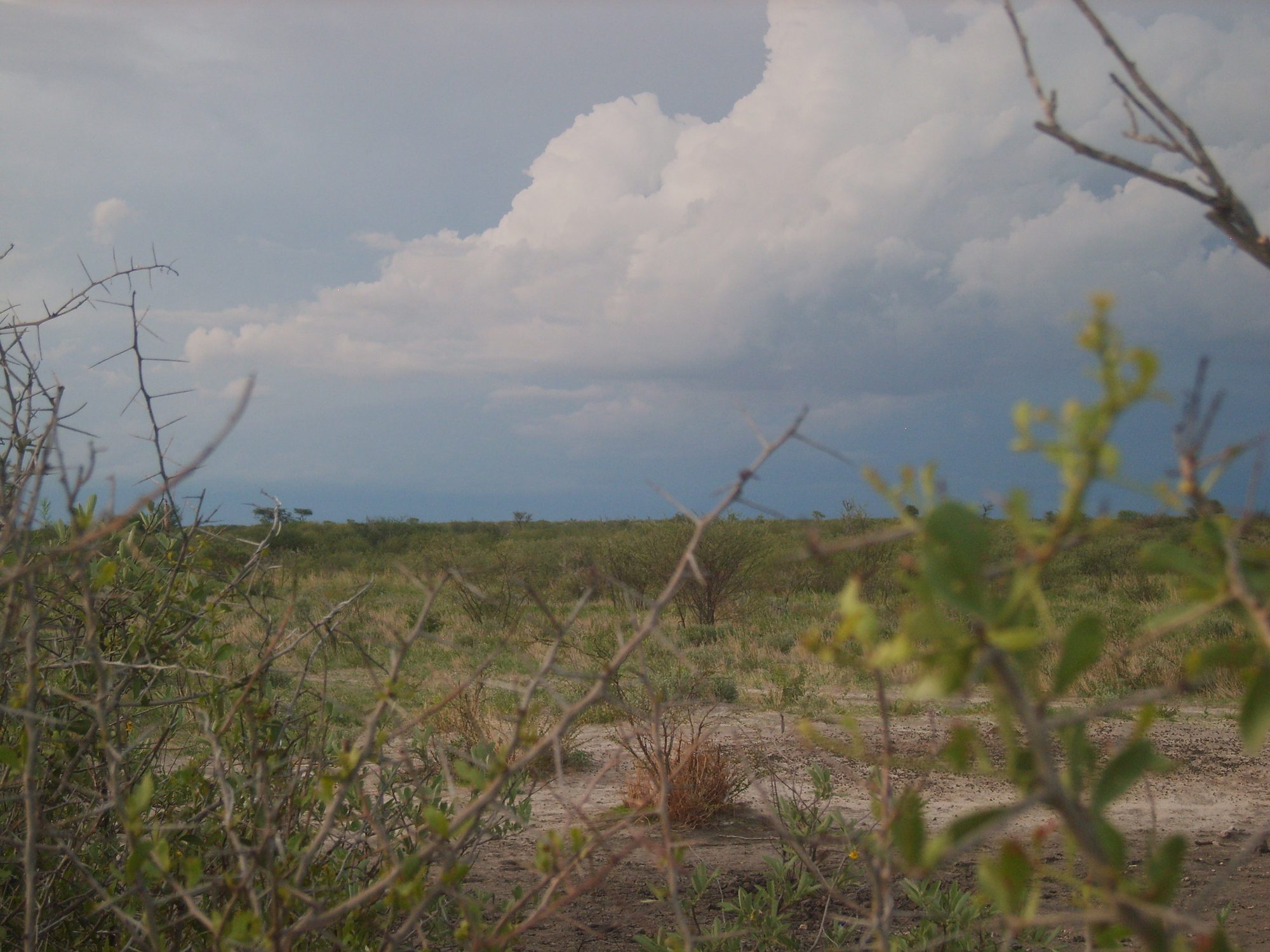 Thunderstorm over the Kalahari
