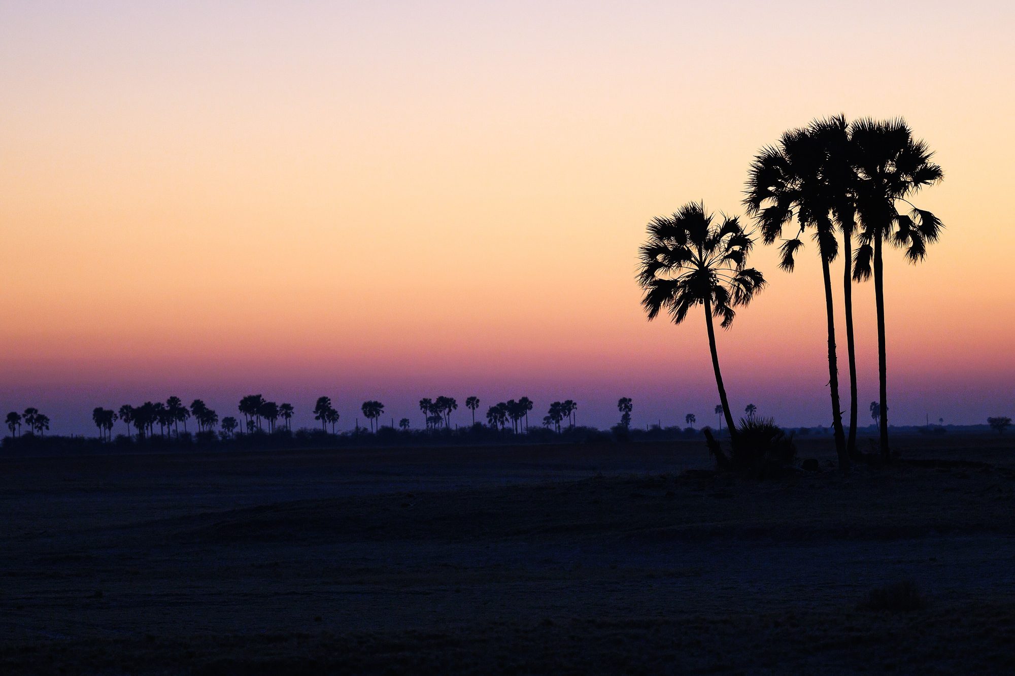 Makgadikgadi Pans, Botswana