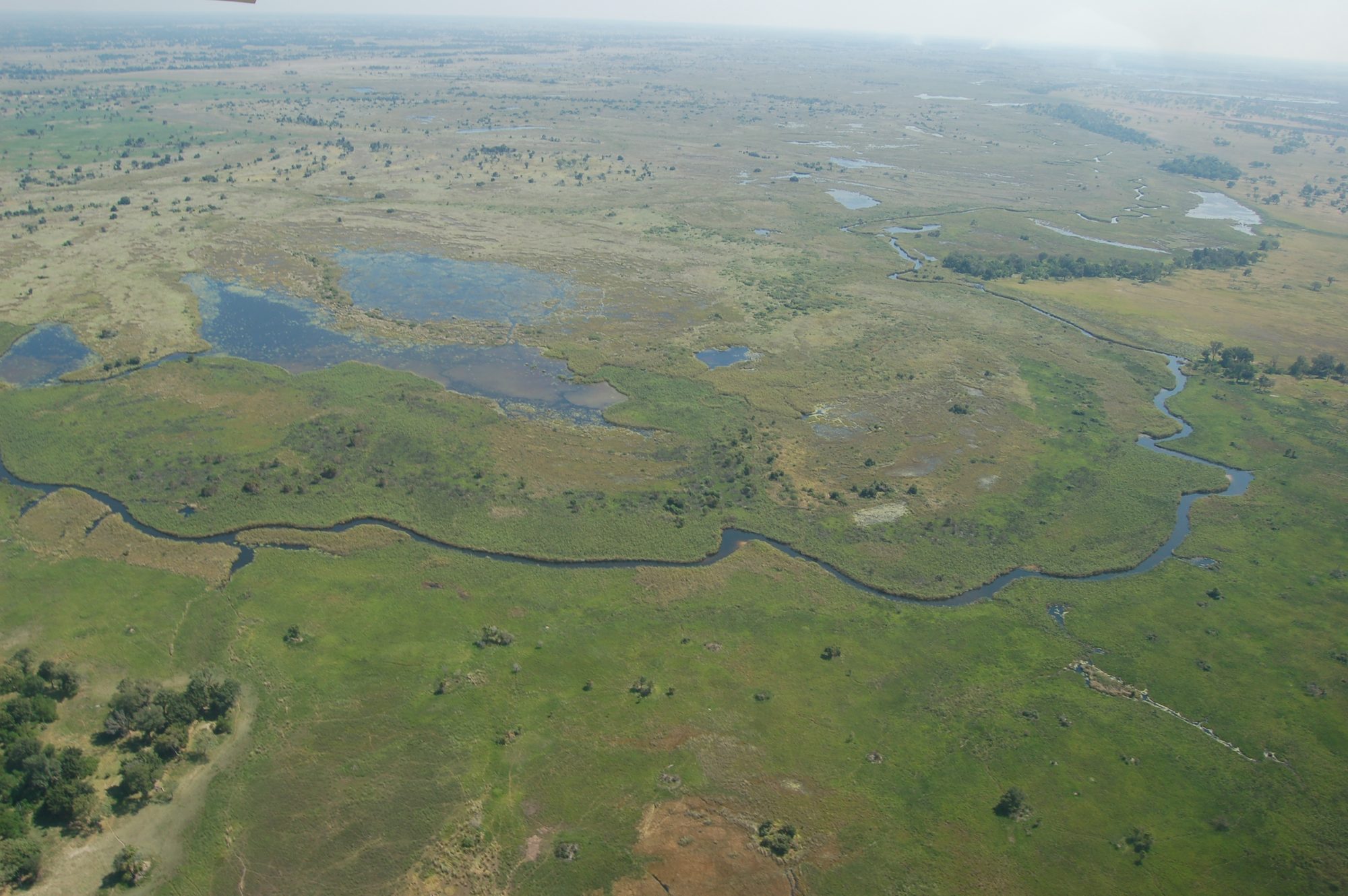 Okavango Delta, Botswana