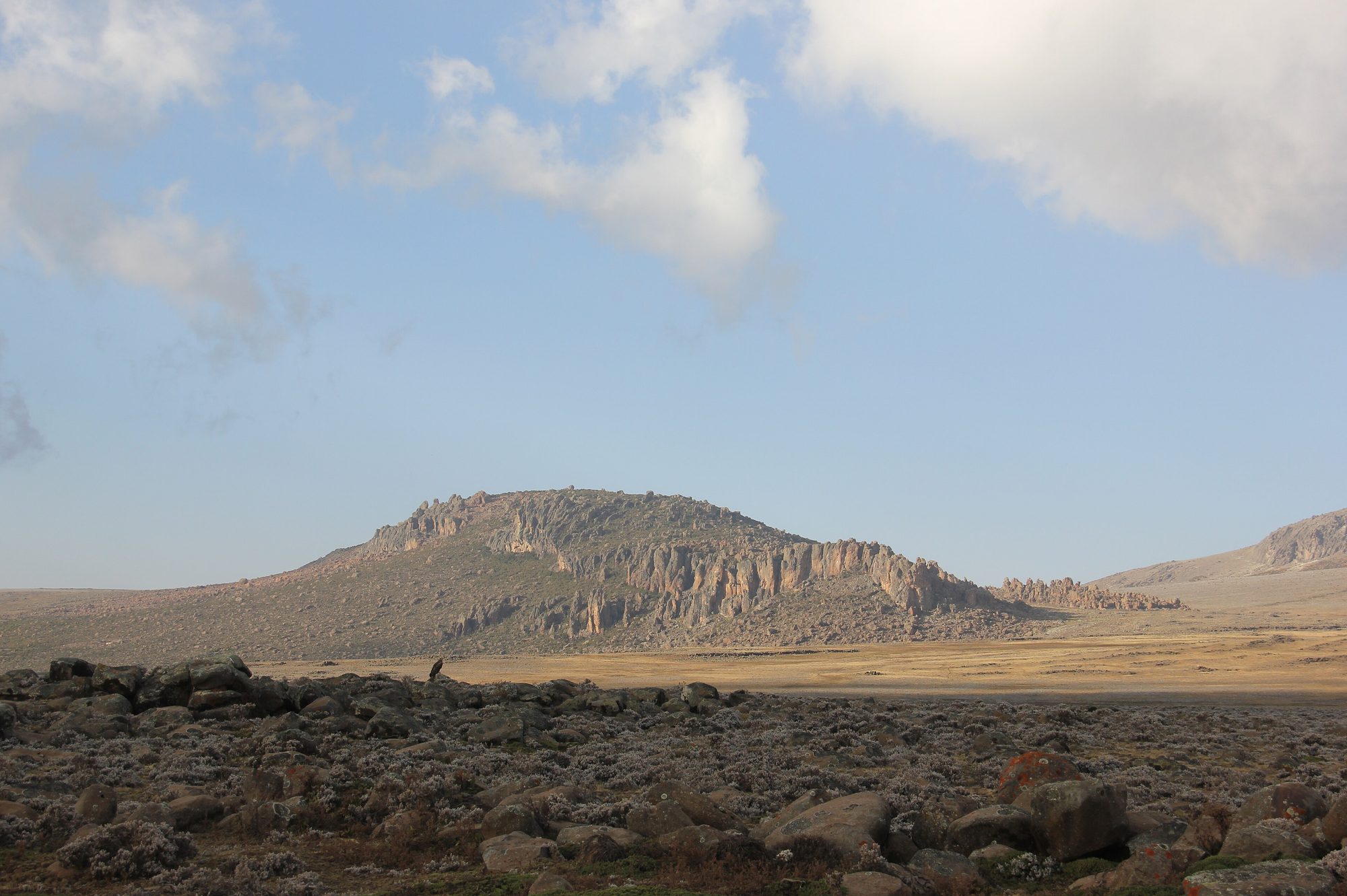 Paisaje de las montañas Bale