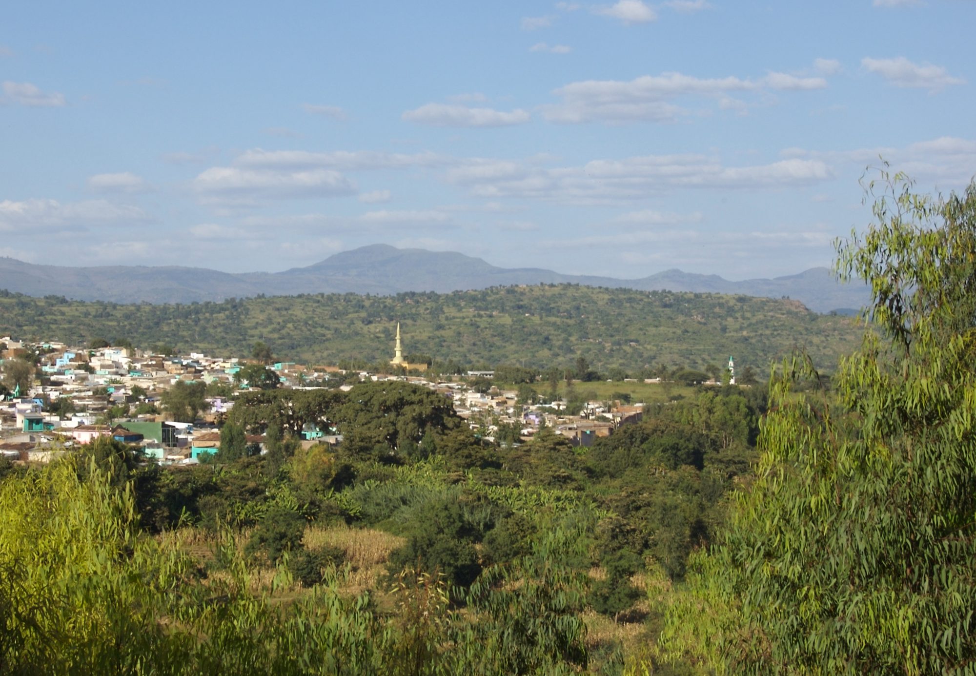 Vista sobre el casco antiguo de Harar