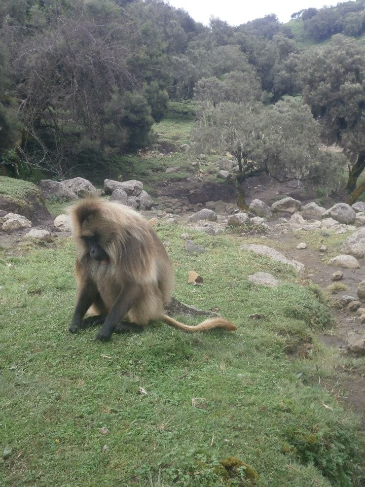 Simien Mountains, Ethiopia