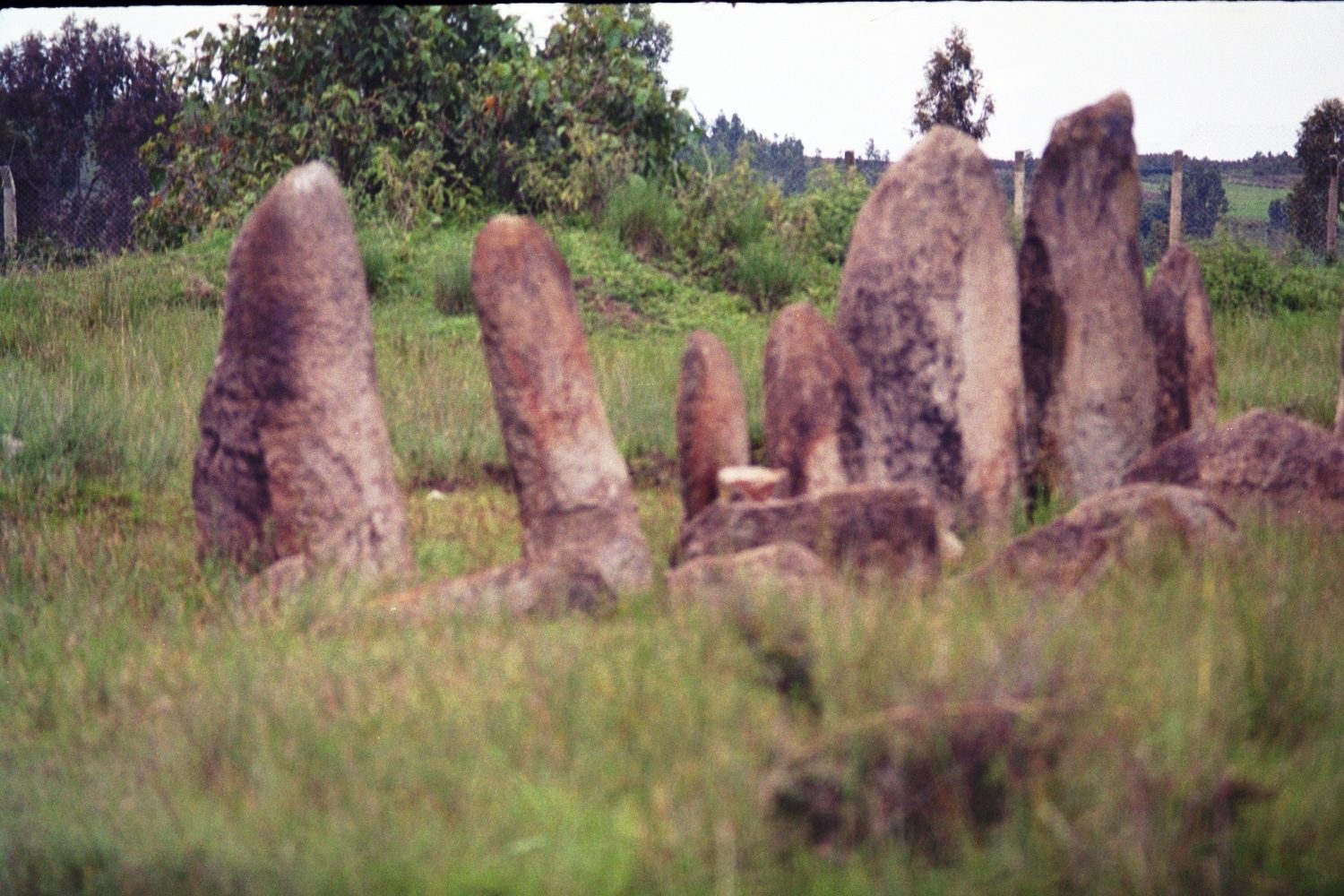 Campo de estelas de Tiya
