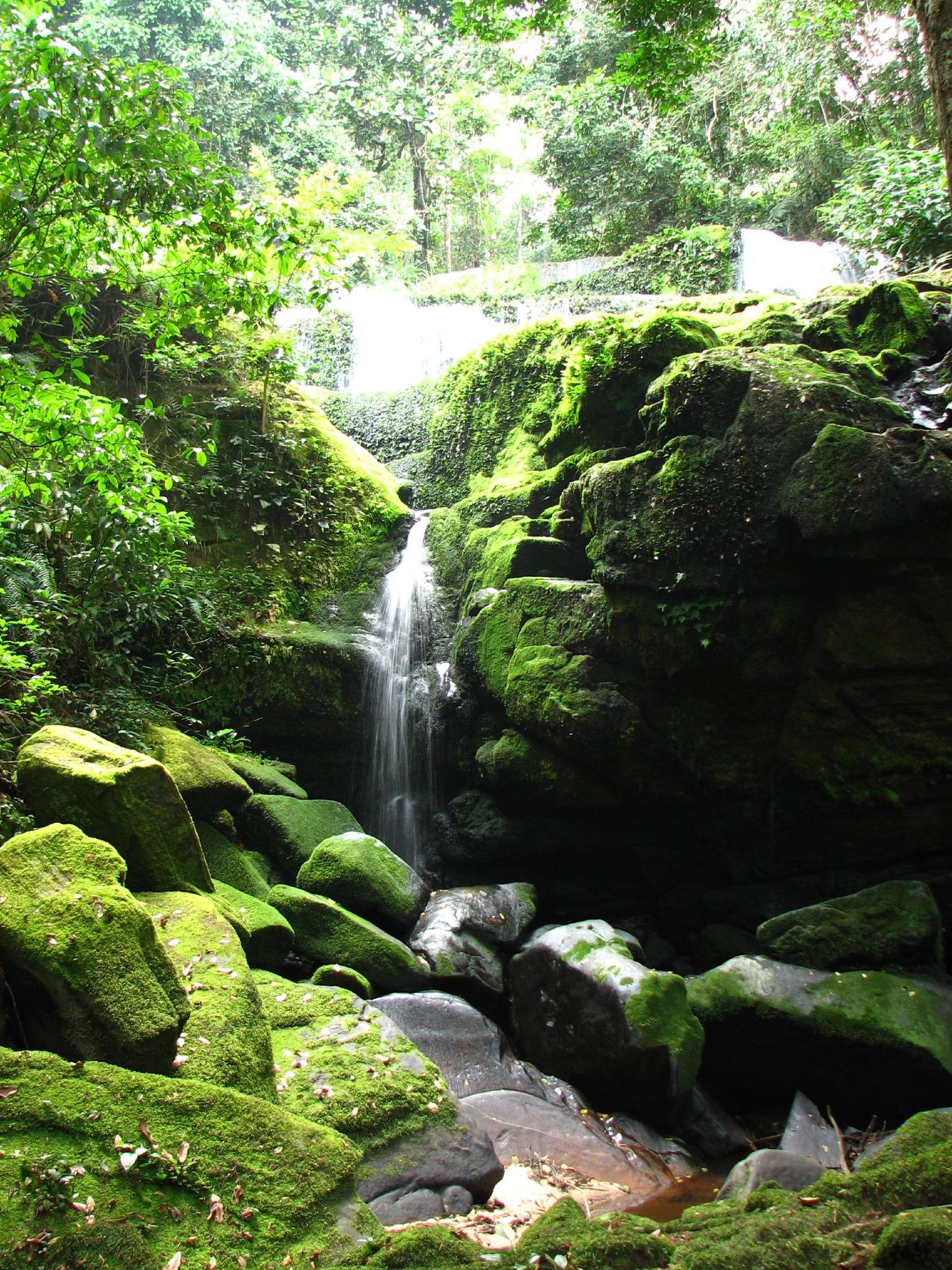 Ivindo-Nationalpark, Gabun