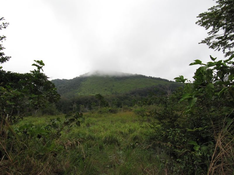 Paisaje de sabana y bosque de La Lopé