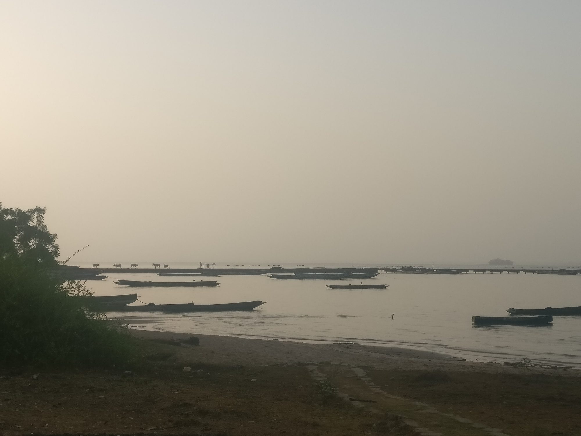 Kunta Kinteh Island from the beach