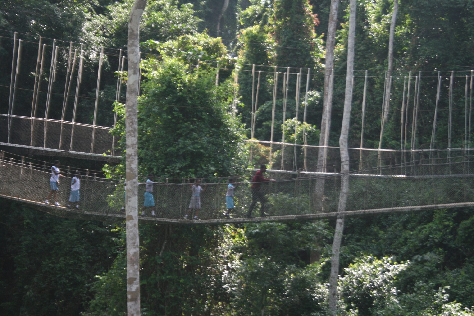 Parque Nacional de Kakum, Ghana