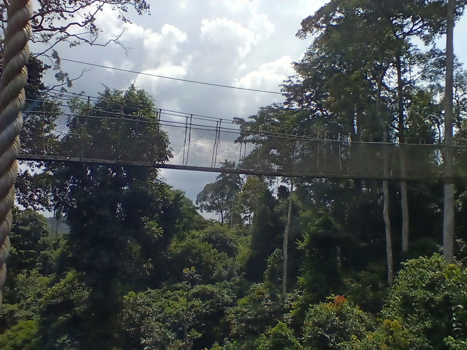 Parque Nacional Kakum, Ghana