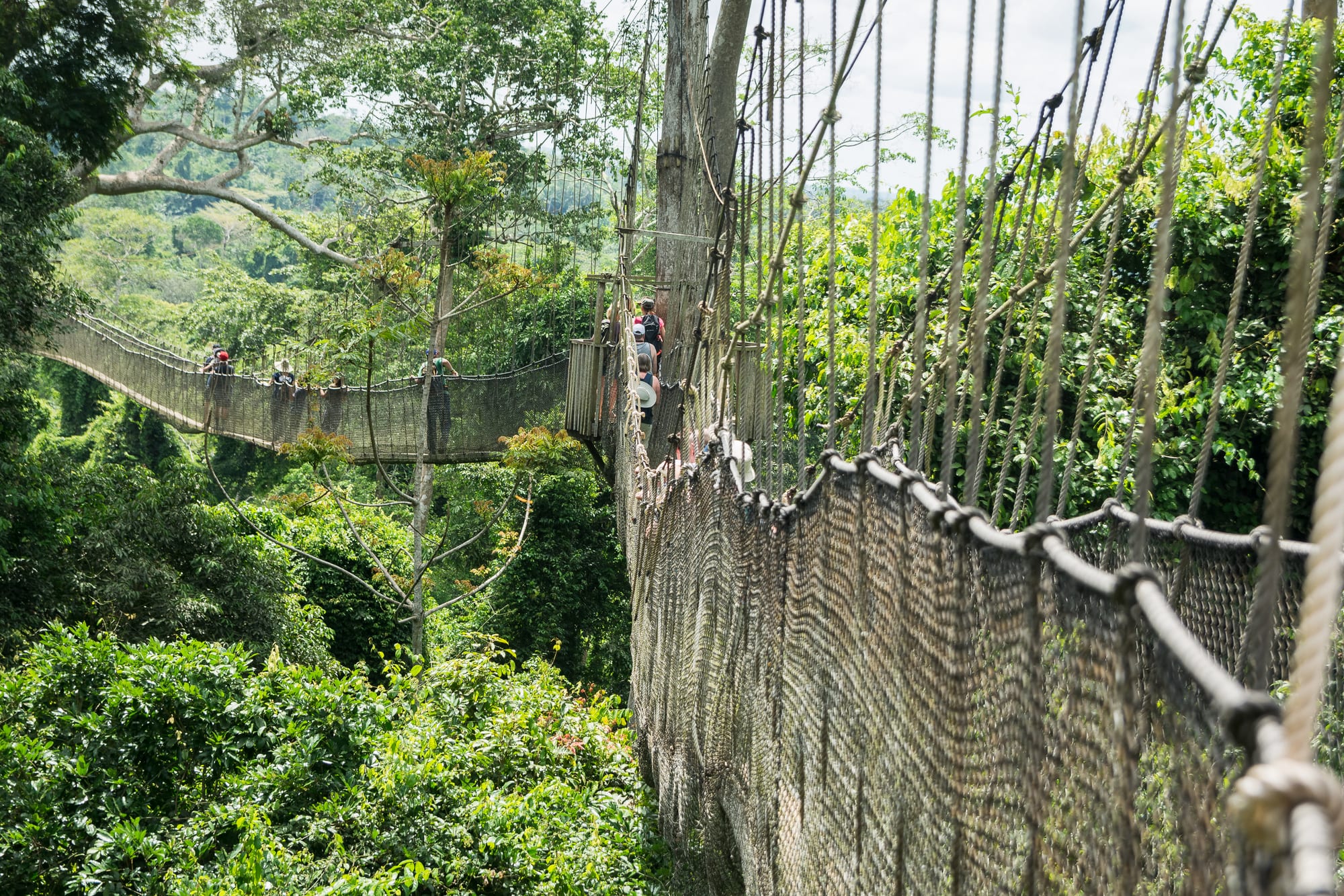 Parque Nacional Kakum, Ghana