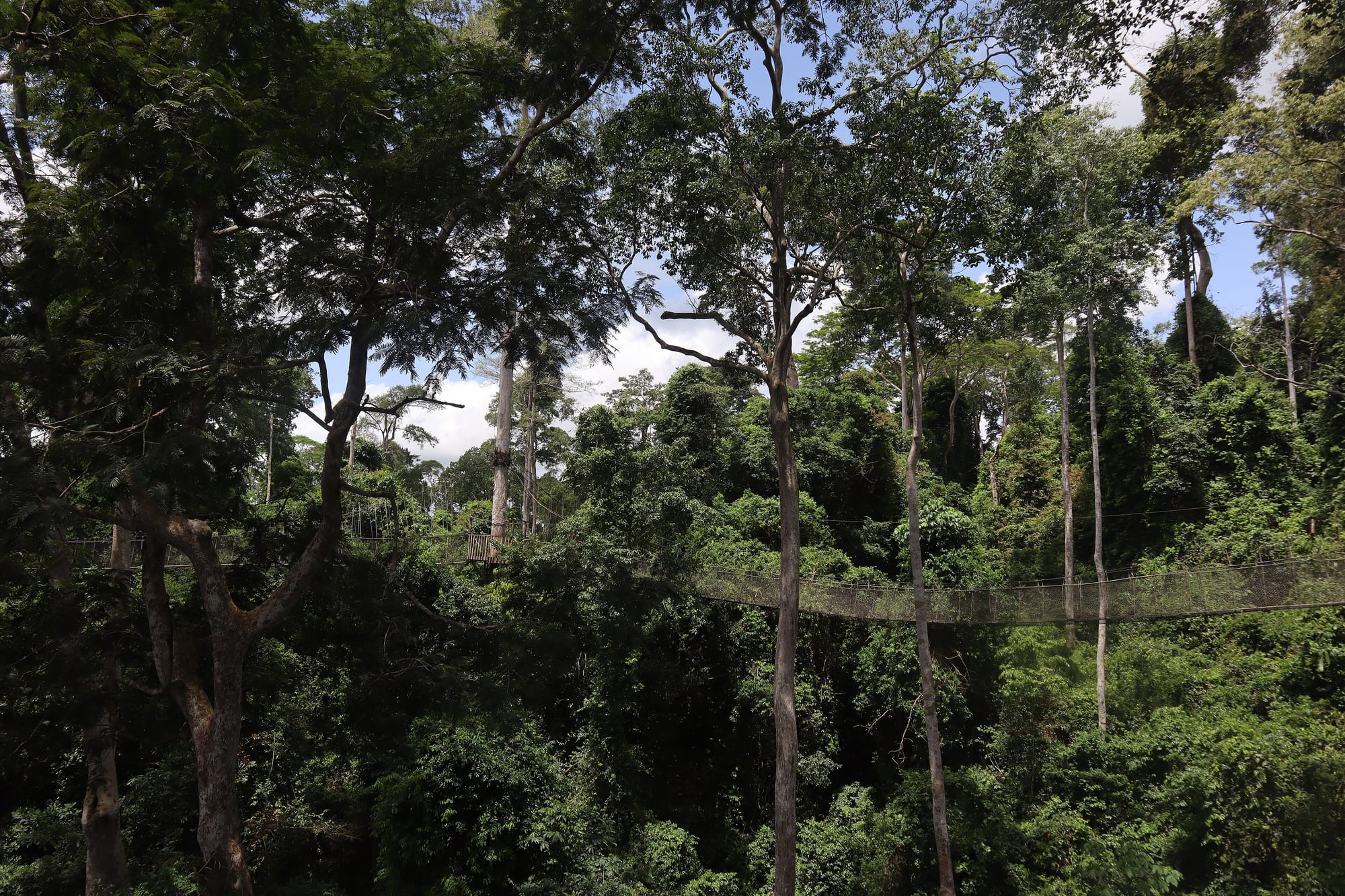 Kakum-Nationalpark, Ghana
