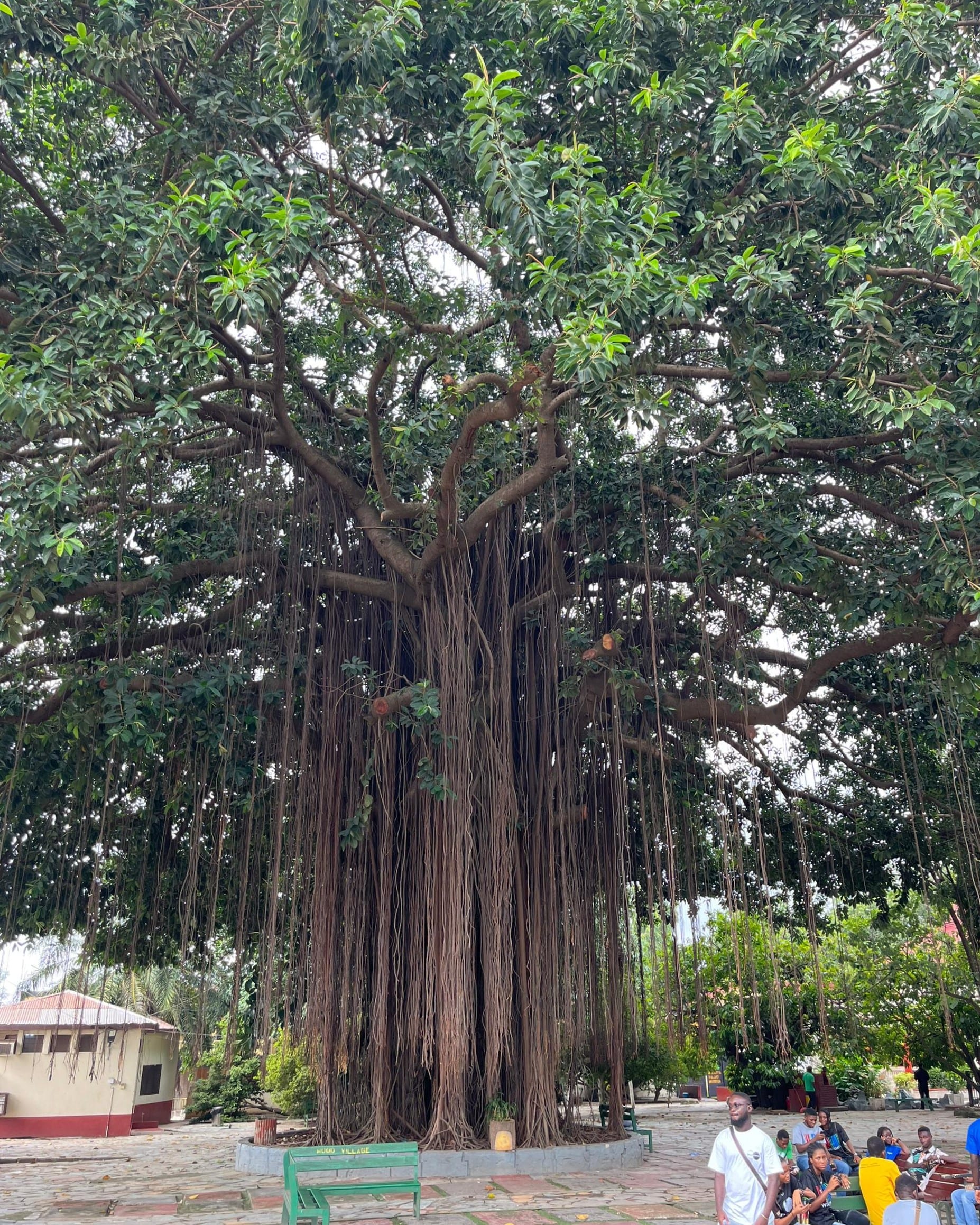Palais Manhyia de Kumasi, Ghana