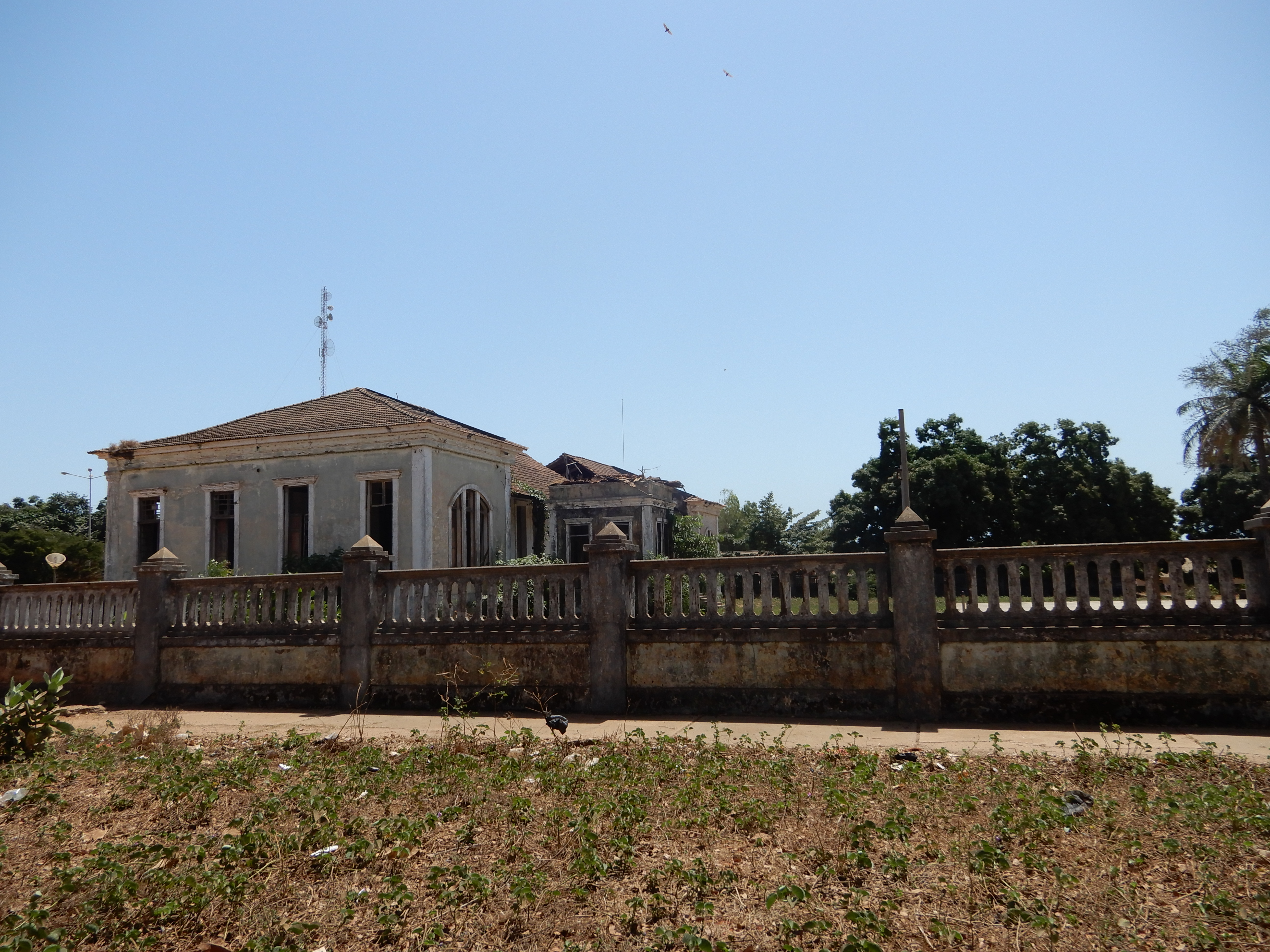 Bolama