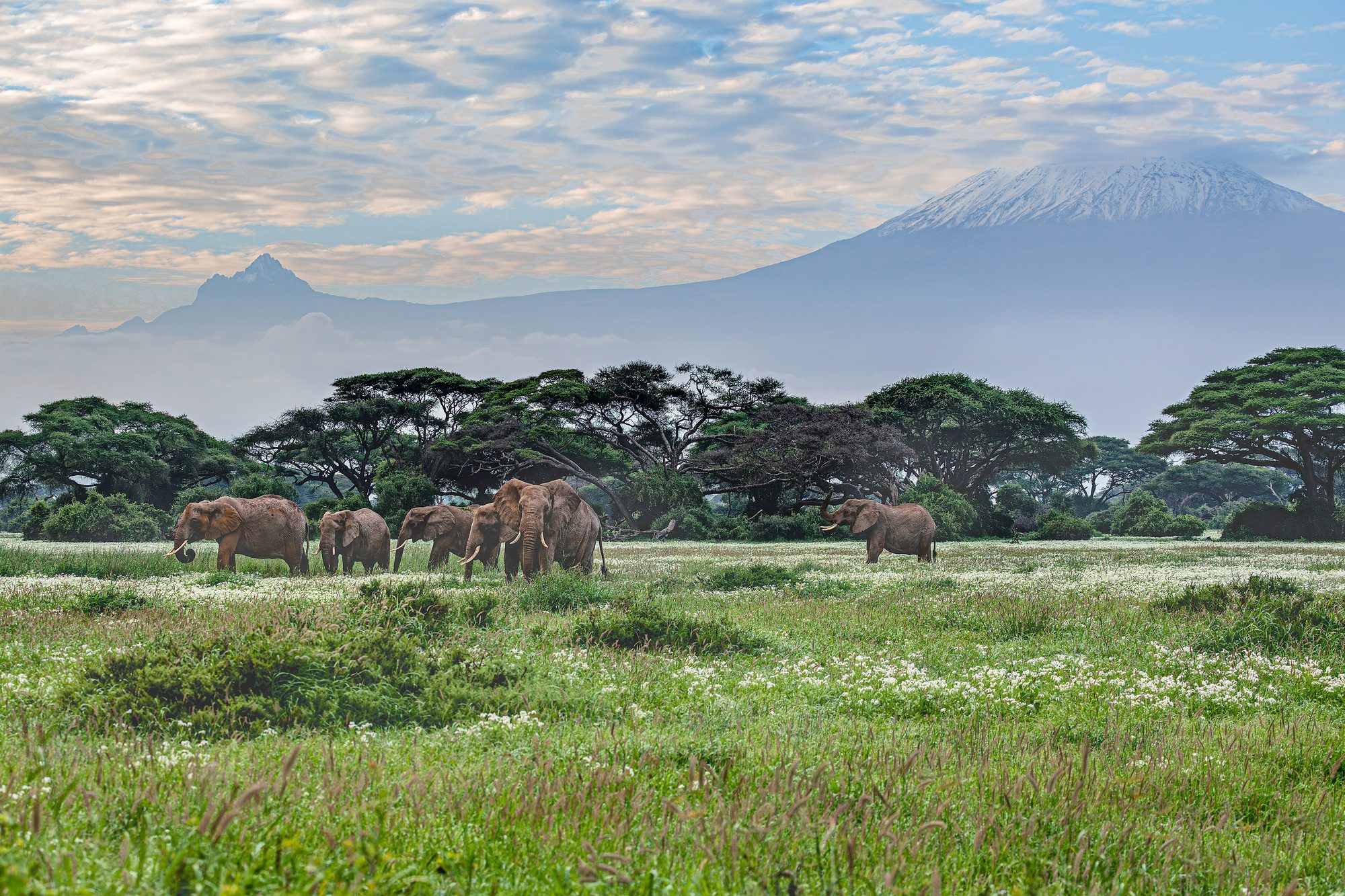 Amboseli, Kenya