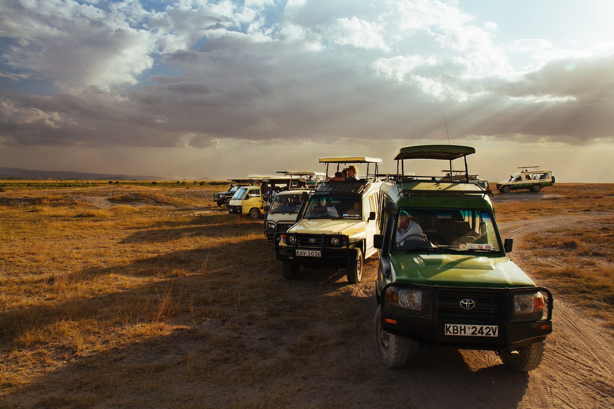 Amboseli, Kenya