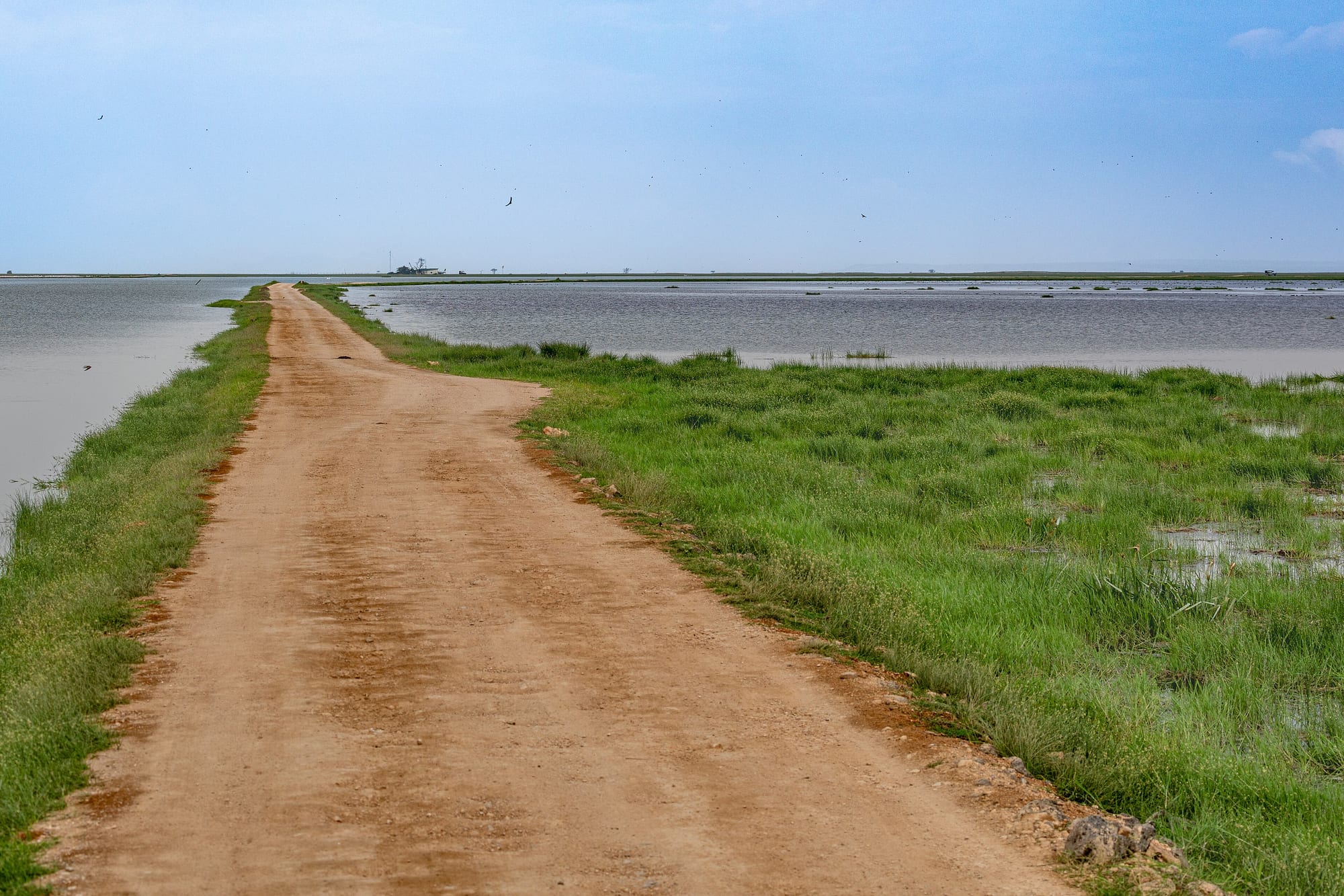Amboseli, Kenya