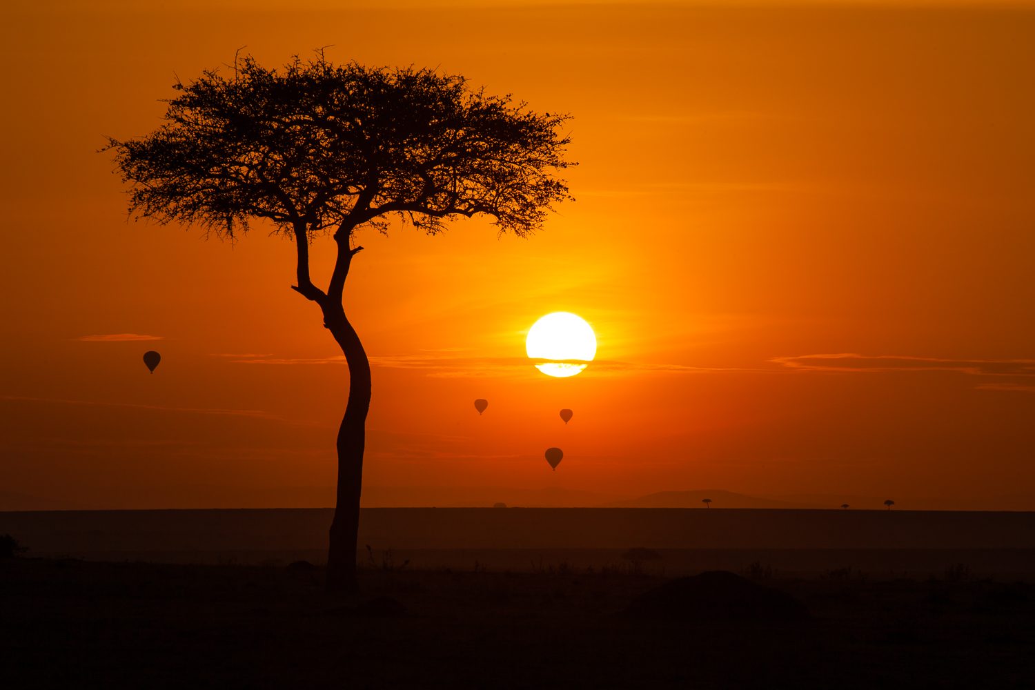 Maasai Mara, Kenya