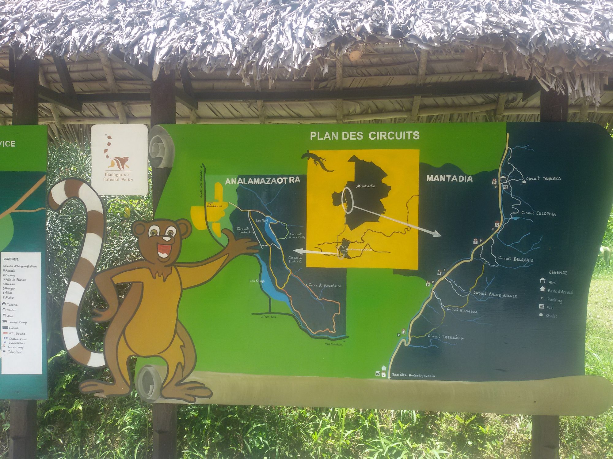 Andasibe-Mantadia rainforest