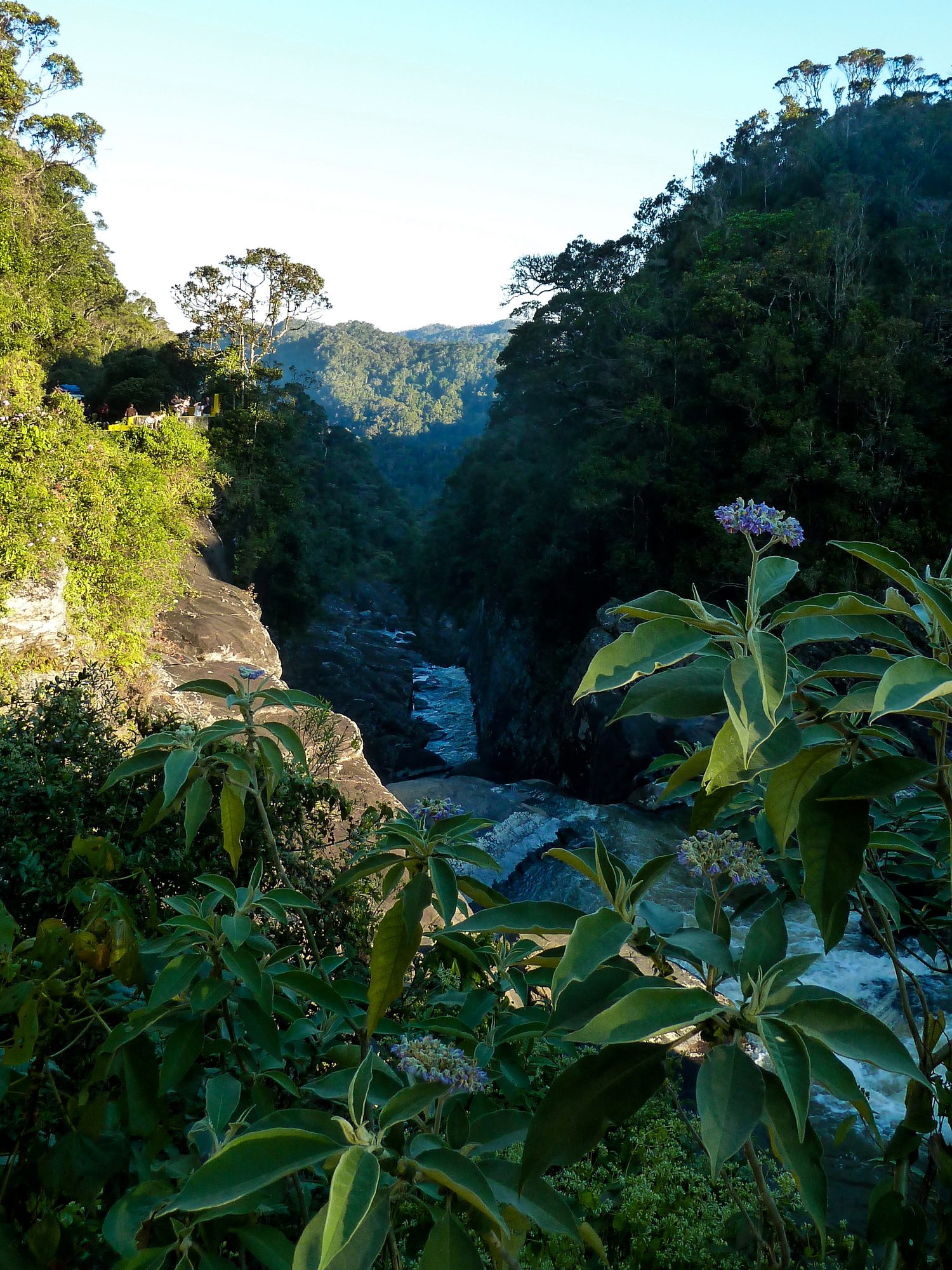 Andriamamovoka falls, Ranomafana