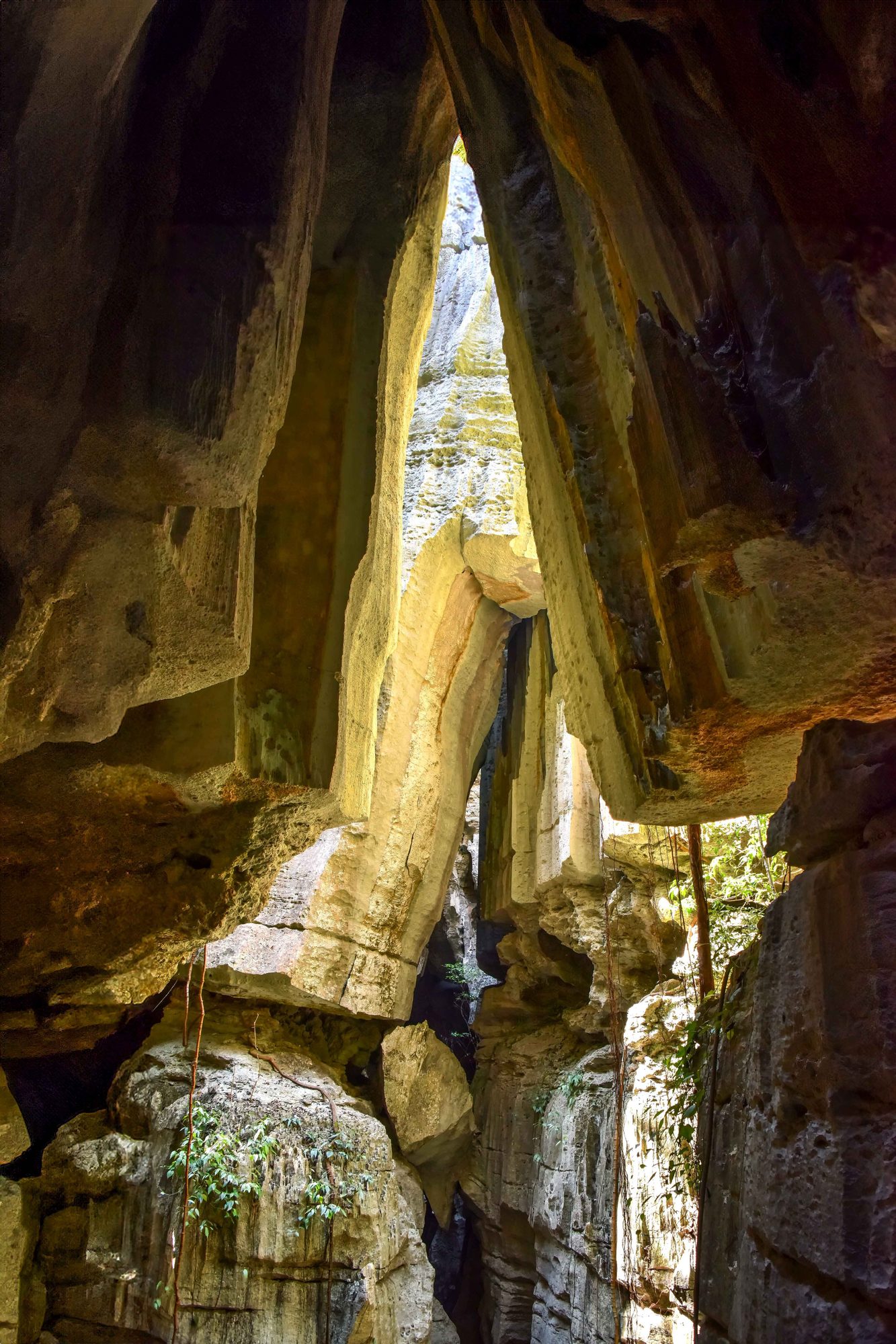 Bemaraha Tsingy