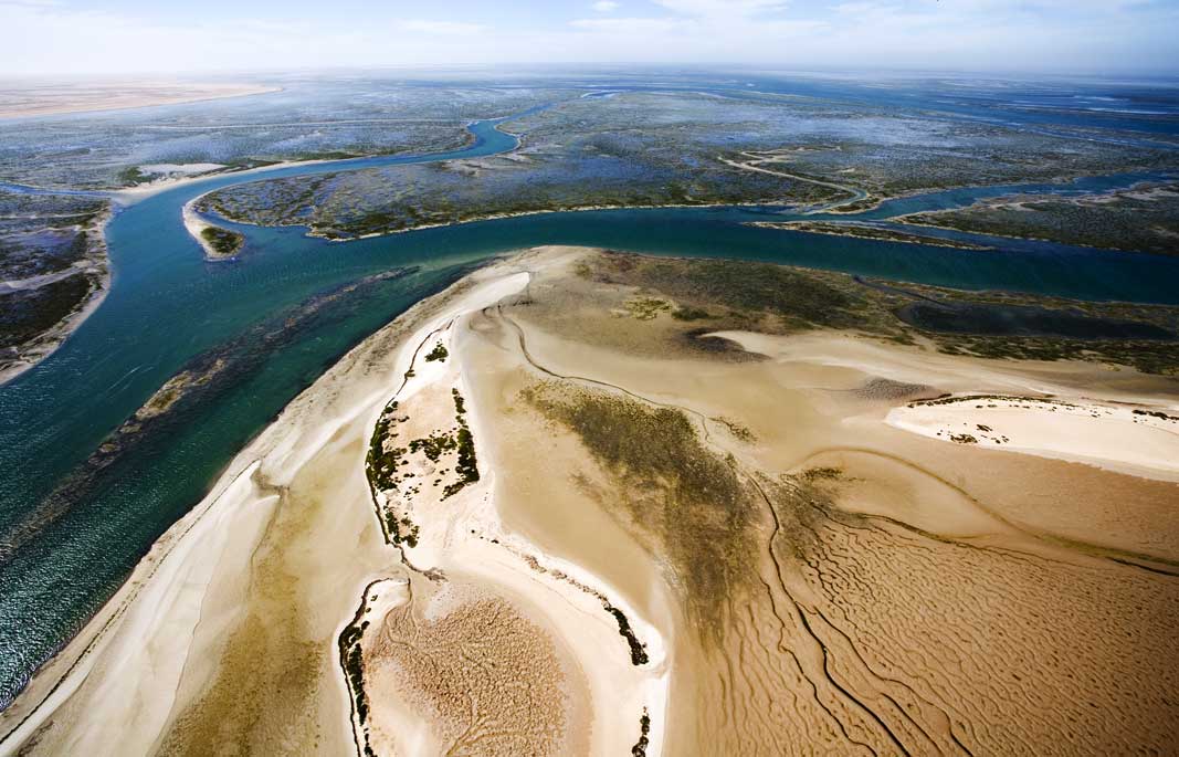 Parque Nacional del Banc d'Arguin
