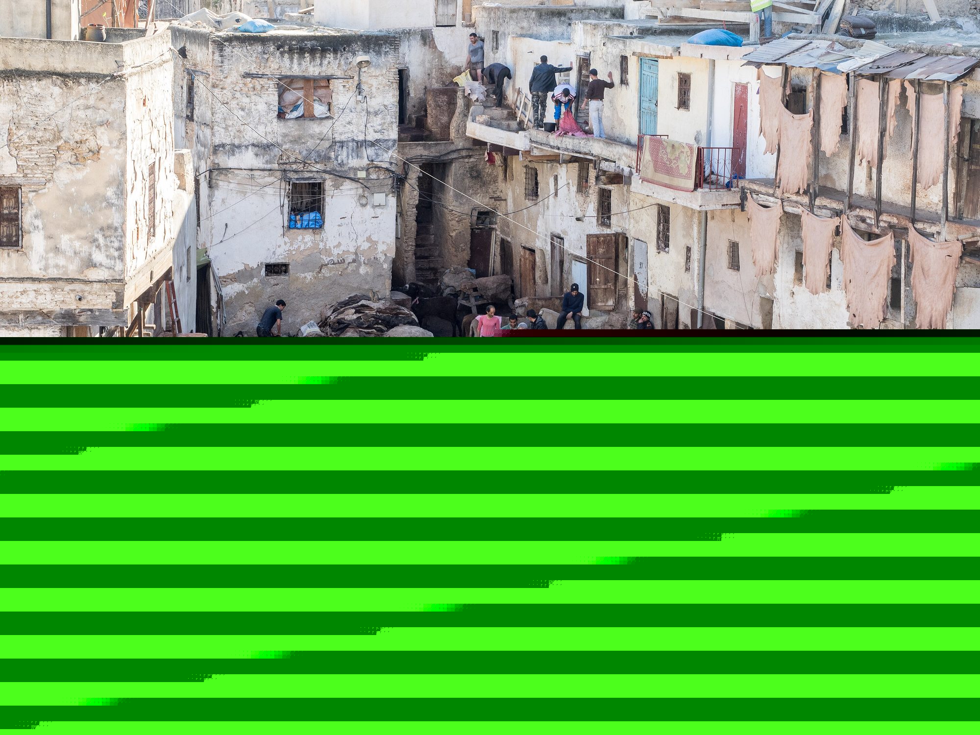 Chouara tannery dyeing vats, Fez