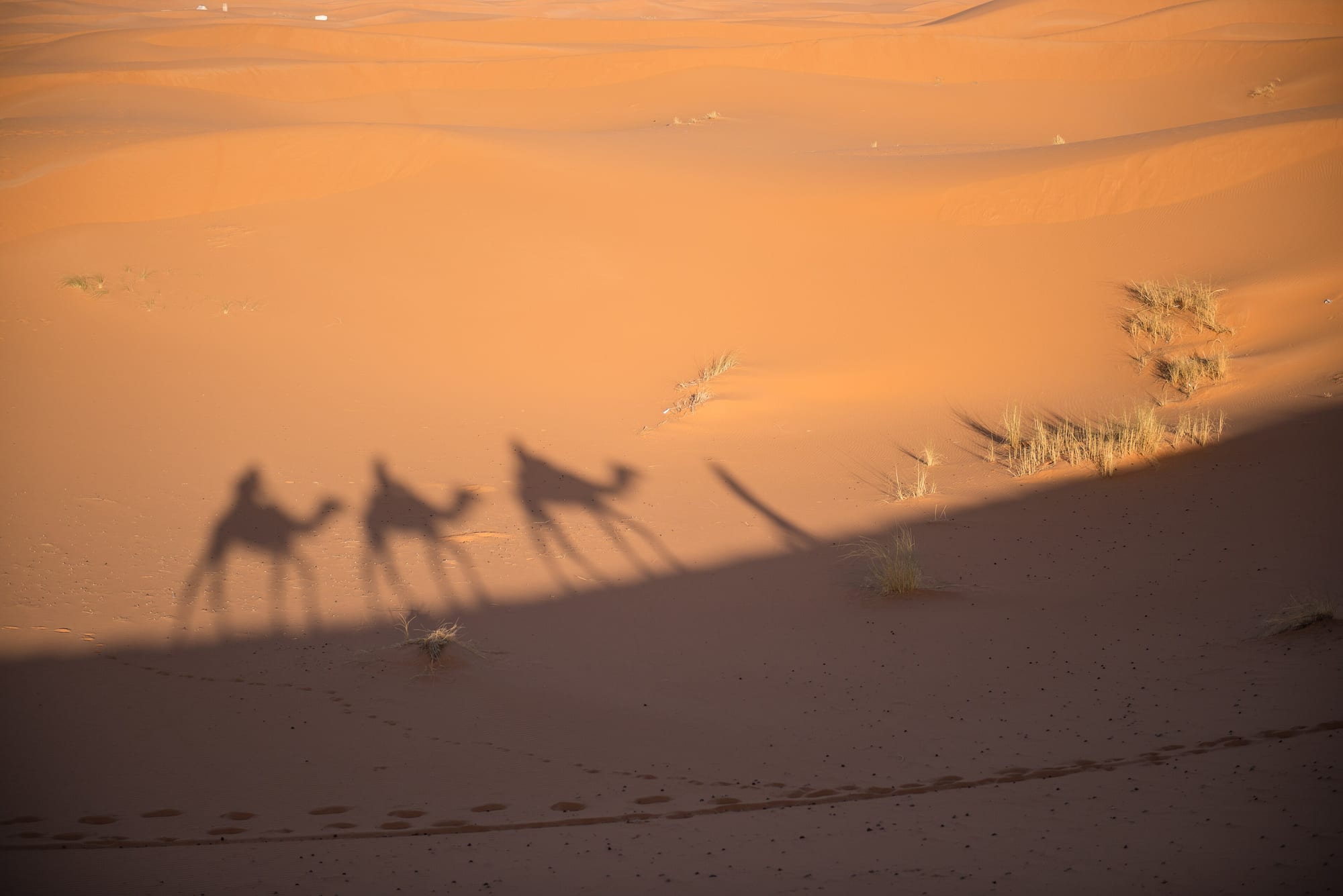 Merzouga Sahara Dunes, Morocco