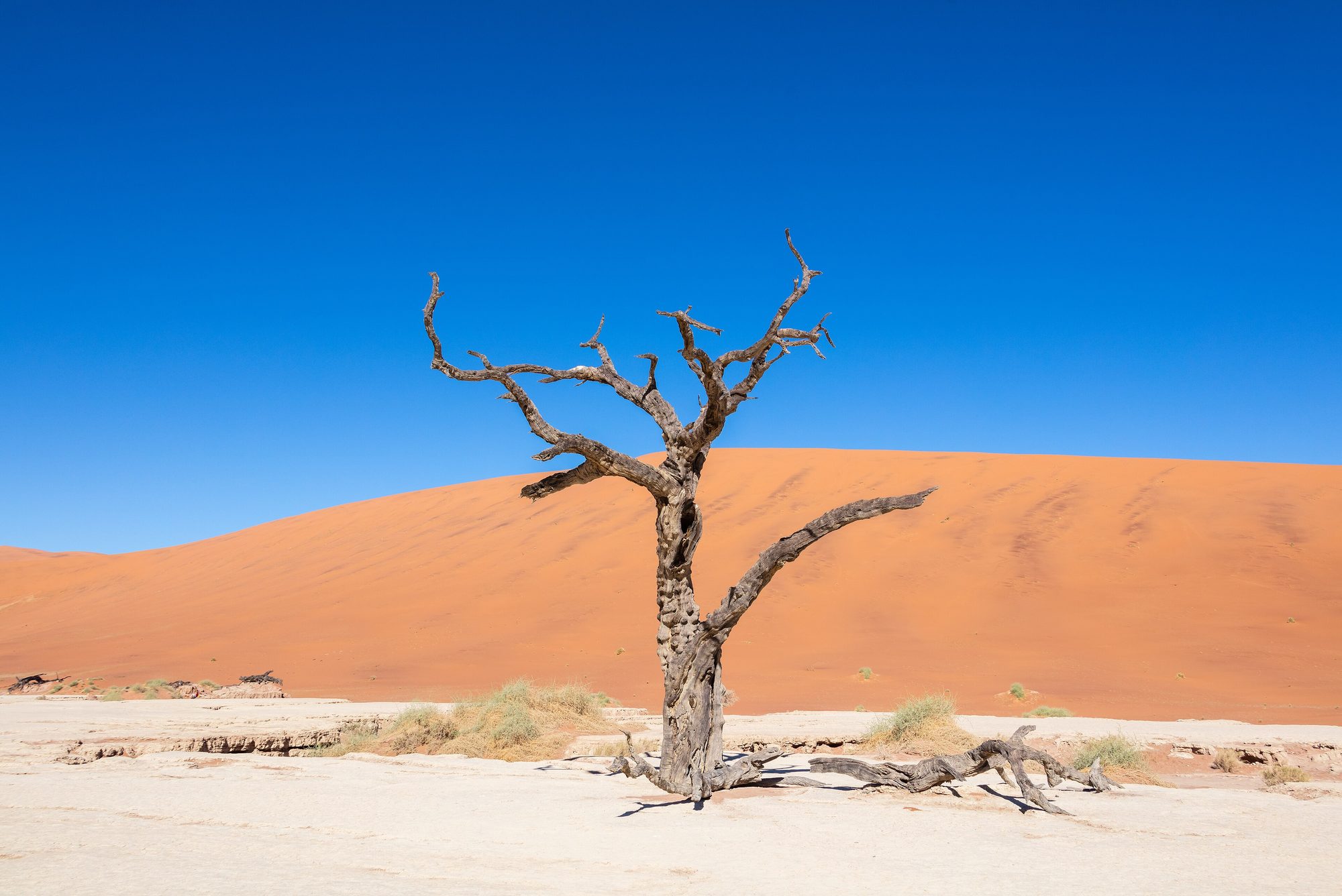 Deadvlei dunes and salt pan