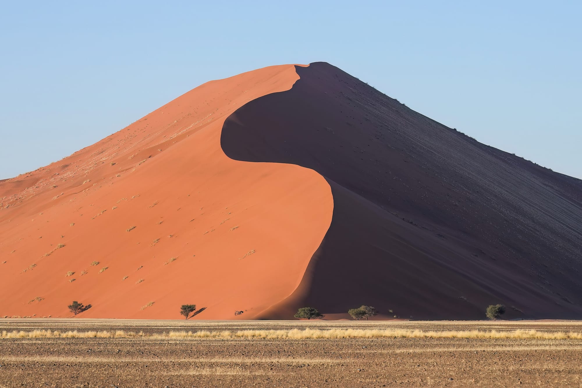 Sossusvlei Deadvlei, Namibia