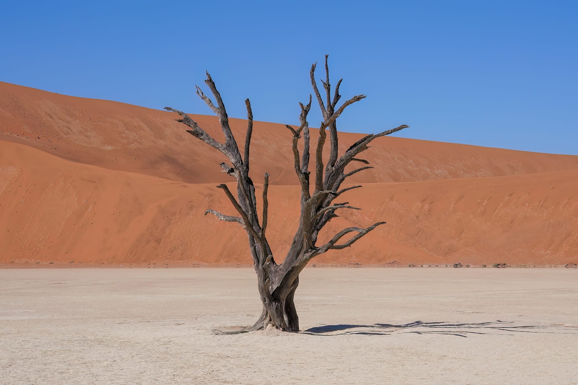 Sossusvlei Deadvlei, Namibia
