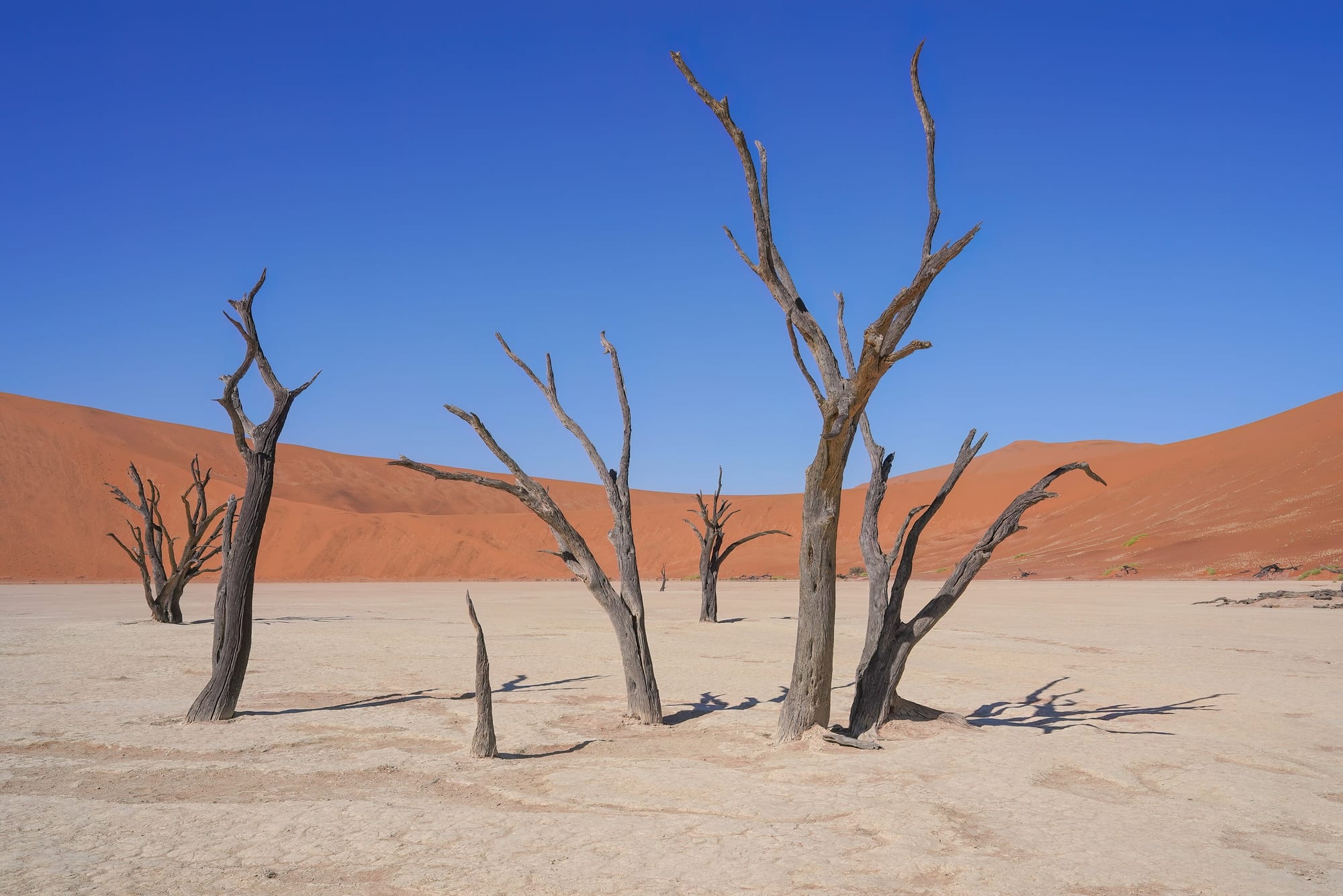 Sossusvlei Deadvlei, Namibia