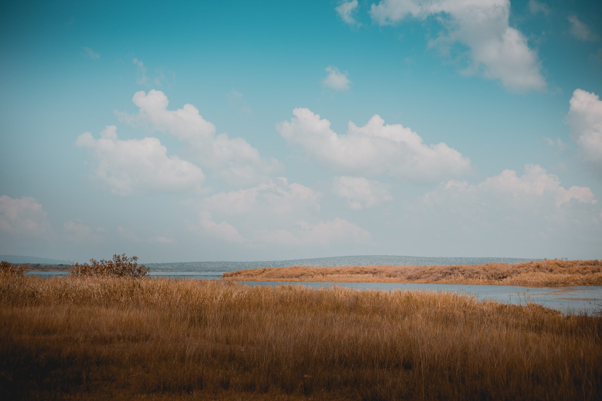 Akagera National Park landscape
