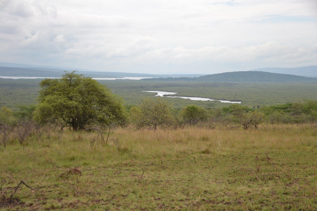 Akagera National Park wetlands
