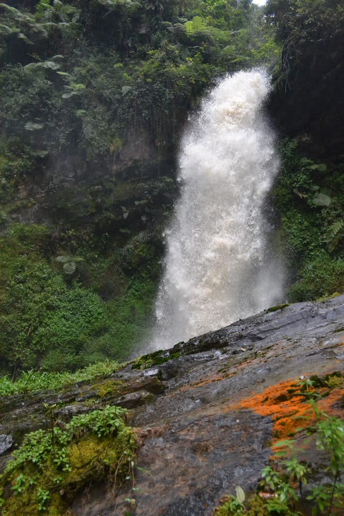 Nyungwe Forest, Rwanda