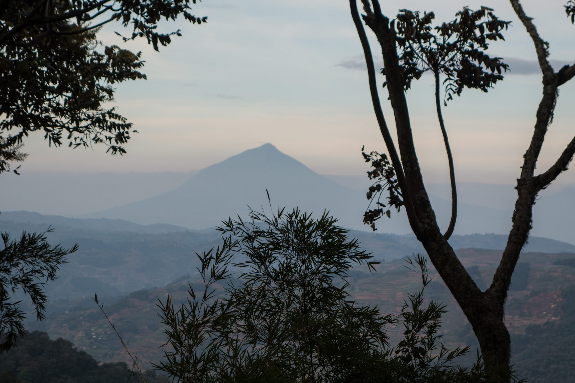 Volcanoes National Park, Rwanda