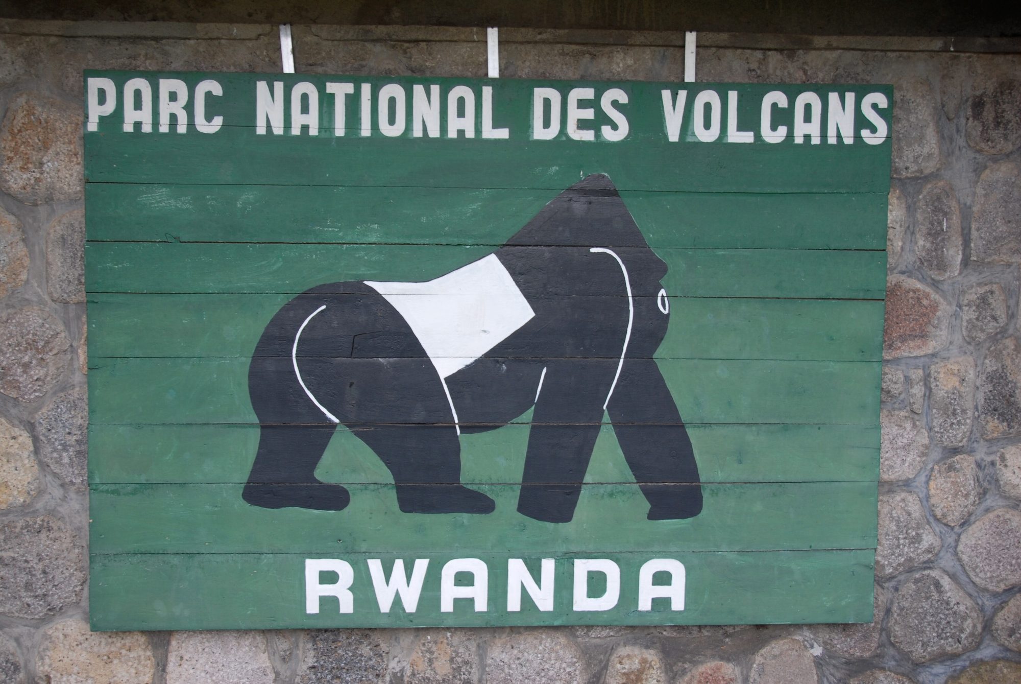 Volcanoes National Park, Rwanda