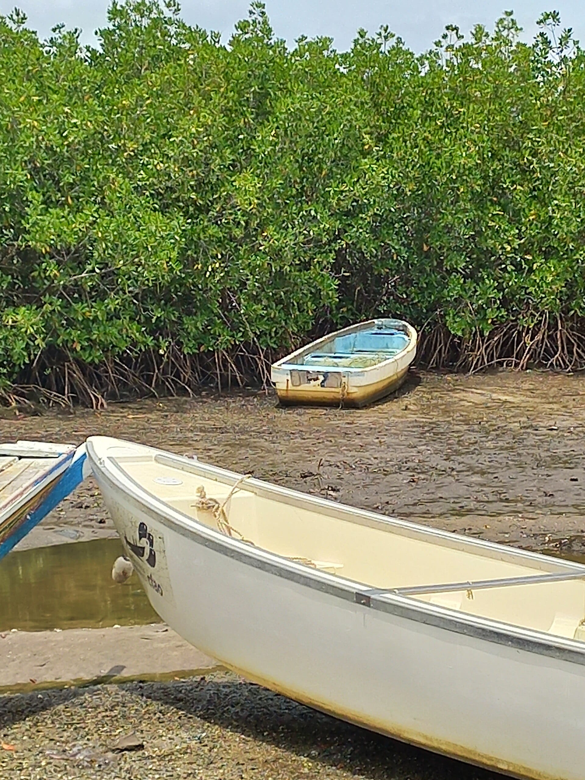 Saloum-Delta, Senegal