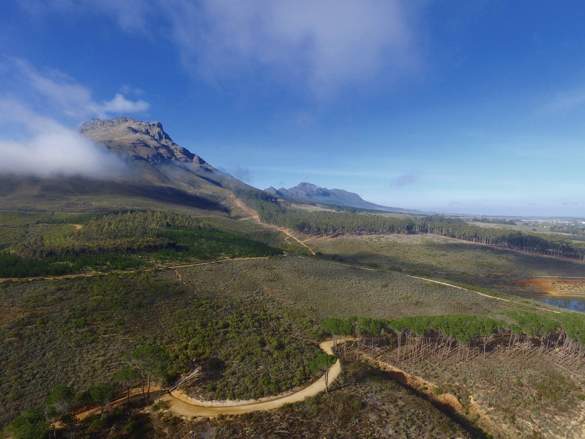 Stellenbosch Mountain and vineyards