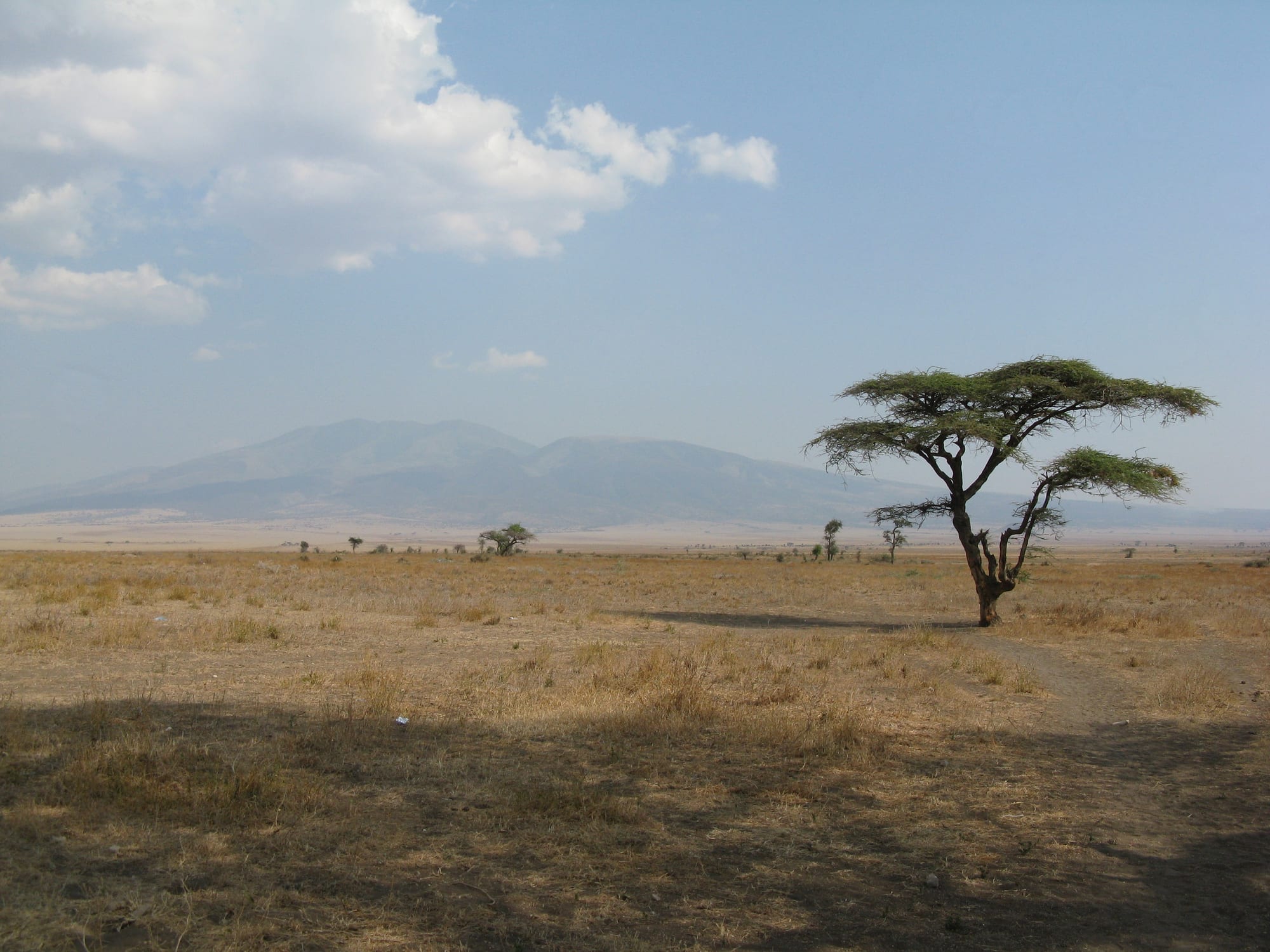 Serengeti, Tanzania