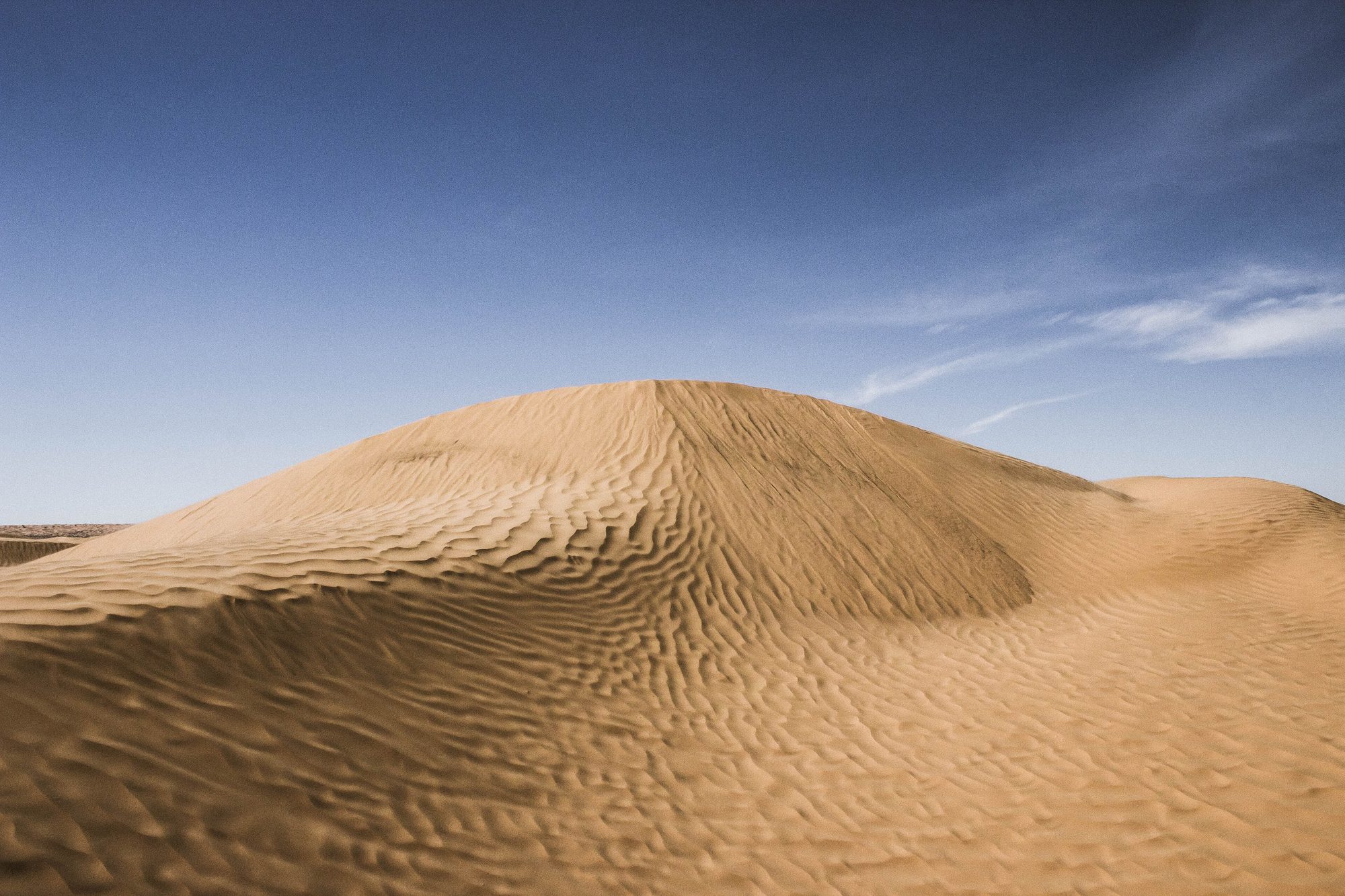 Desert landscape at Ksar Ghilane