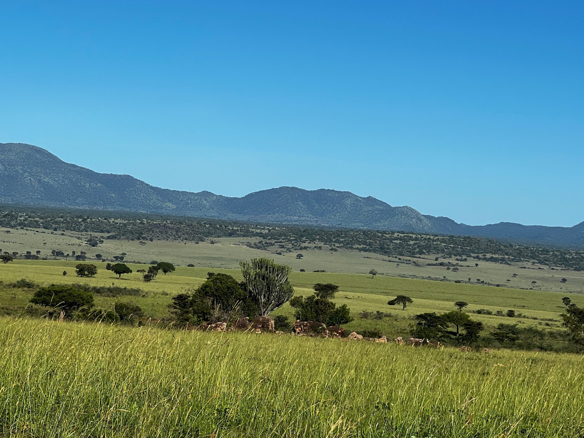 Paisaje de Kidepo