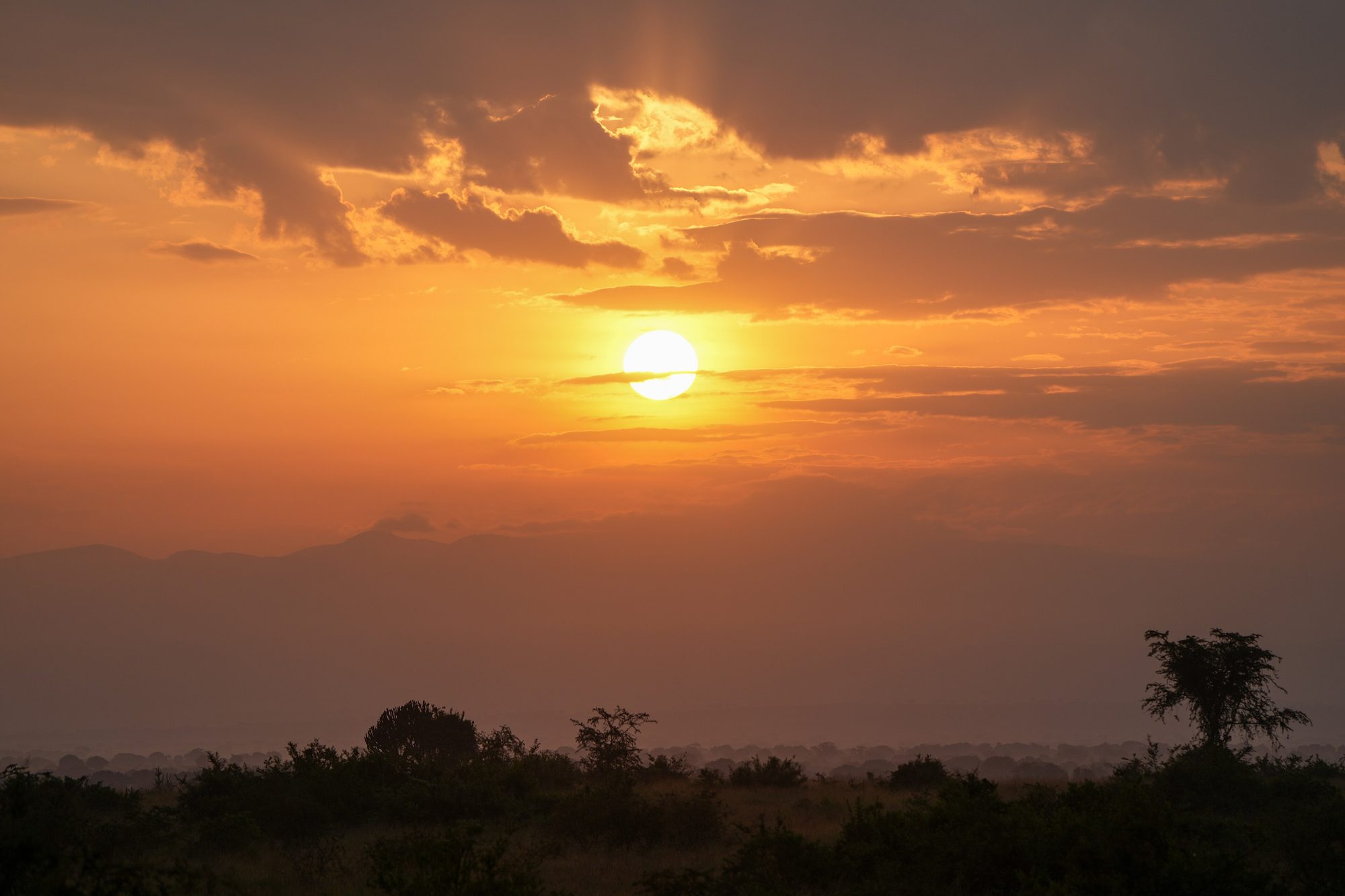 Queen-Elizabeth-Nationalpark, Uganda